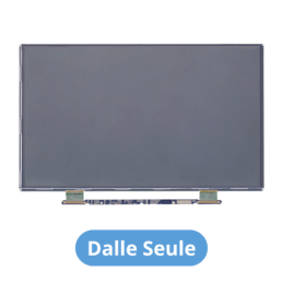 Écran Dalle LCD Complet Assemblé Pour Apple MacBook Air 13" A1466 EMC 2559 2632 2925 3178 (2013-2017)