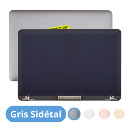 Écran Dalle LCD Complet Assemblé Pour Apple MacBook 12" A1534 EMC 2746 2991 3099 Gris Sidéral