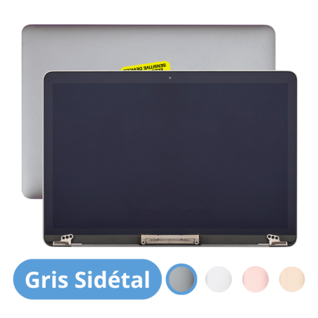 Écran Dalle LCD Complet Assemblé Pour Apple MacBook 12" A1534 EMC 2746 2991 3099 Gris Sidéral