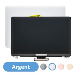 Écran Dalle LCD Complet Assemblé Pour Apple MacBook 12" A1534 EMC 2746 2991 3099 Argent