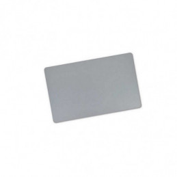 Trackpad Apple MacBook Pro 16" A2141 2019 Gris Sideral TouchPad