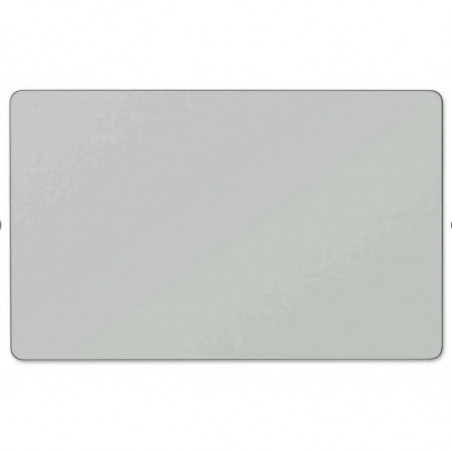 Trackpad Apple MacBook Pro 16" A2485 2021 Touchpad Pavé Tactile Gris Sidéral